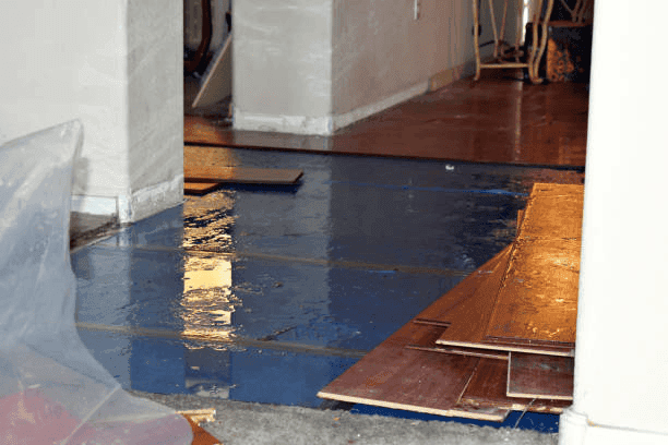 General Water Damage